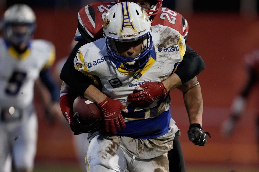 manuel savoia mastini