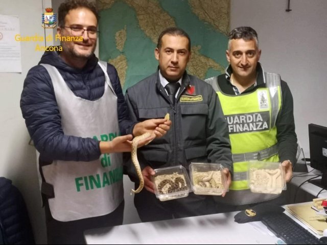 sequestro pitoni (1)