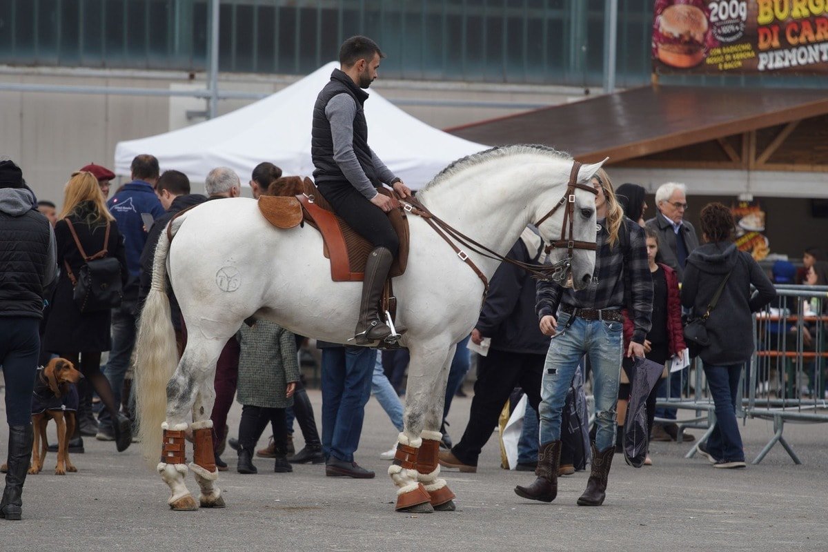 Fieracavalli 2019