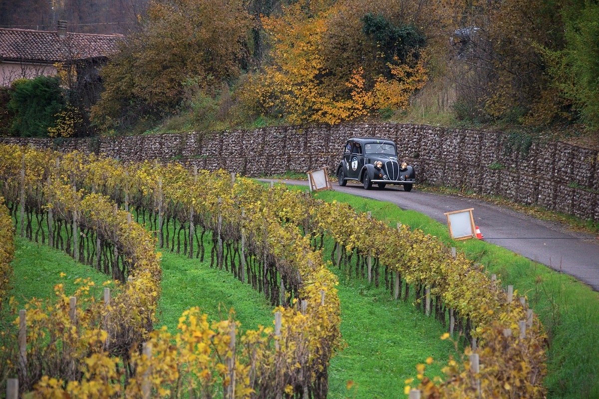 Coppa Giulietta&Romeo 2019
