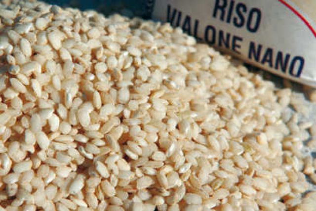riso - vialone nano - confartigianato veneto