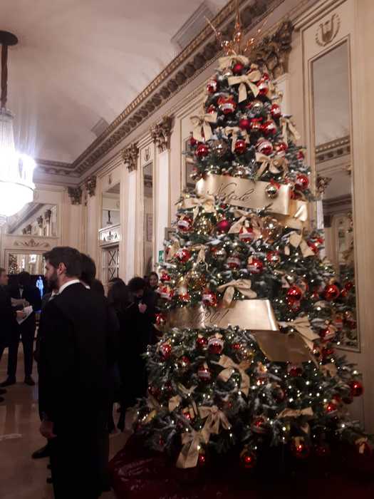 Scala: a Tosca under30