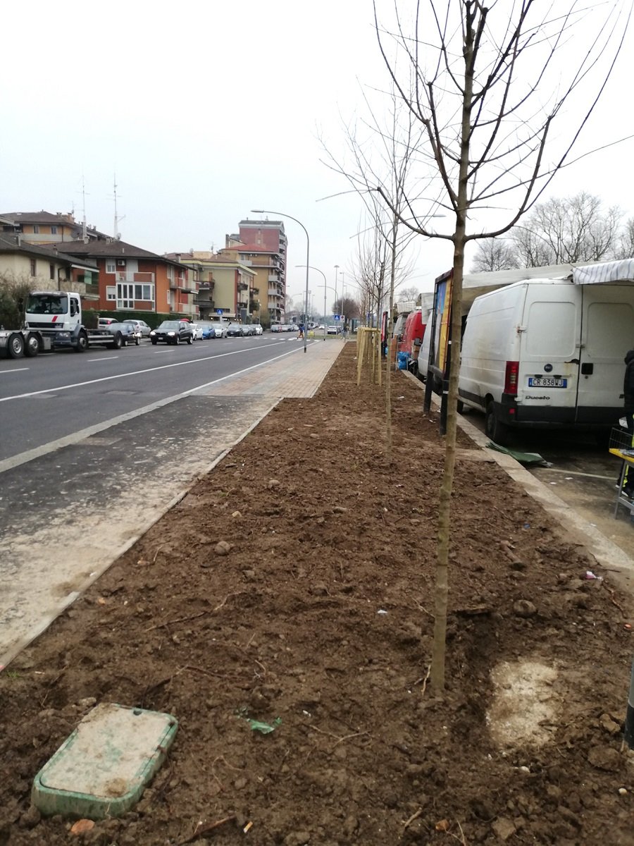 Lavori opera filovia filobus via Frà Giocondo (1)