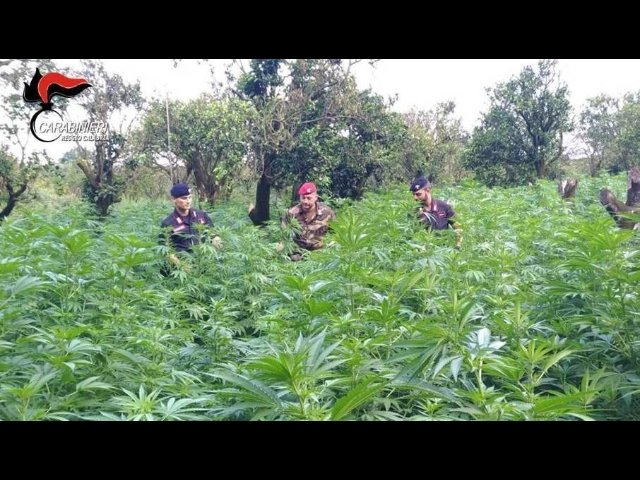 droga cortina d'ampezzo