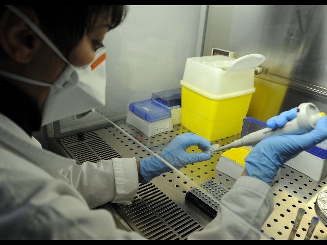 iss e celi roma ceppo coronavirus