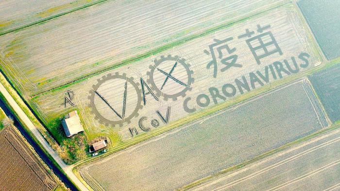 land art coronavirus dario gambarin
