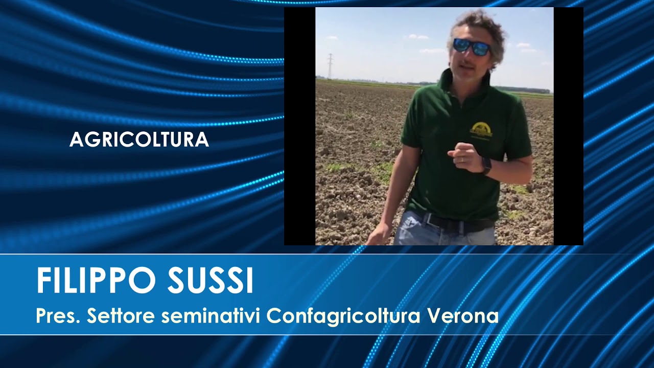 Filippo Sussi Confagricoltura