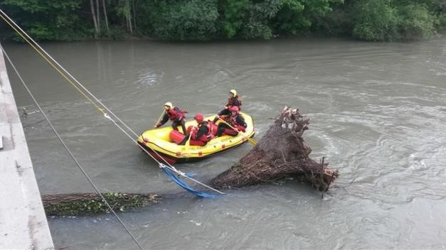 taglio alberi fiume adige lungadige attiraglio (1)