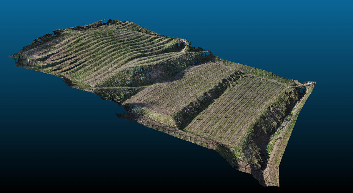vino soave modello 3d geoscienze