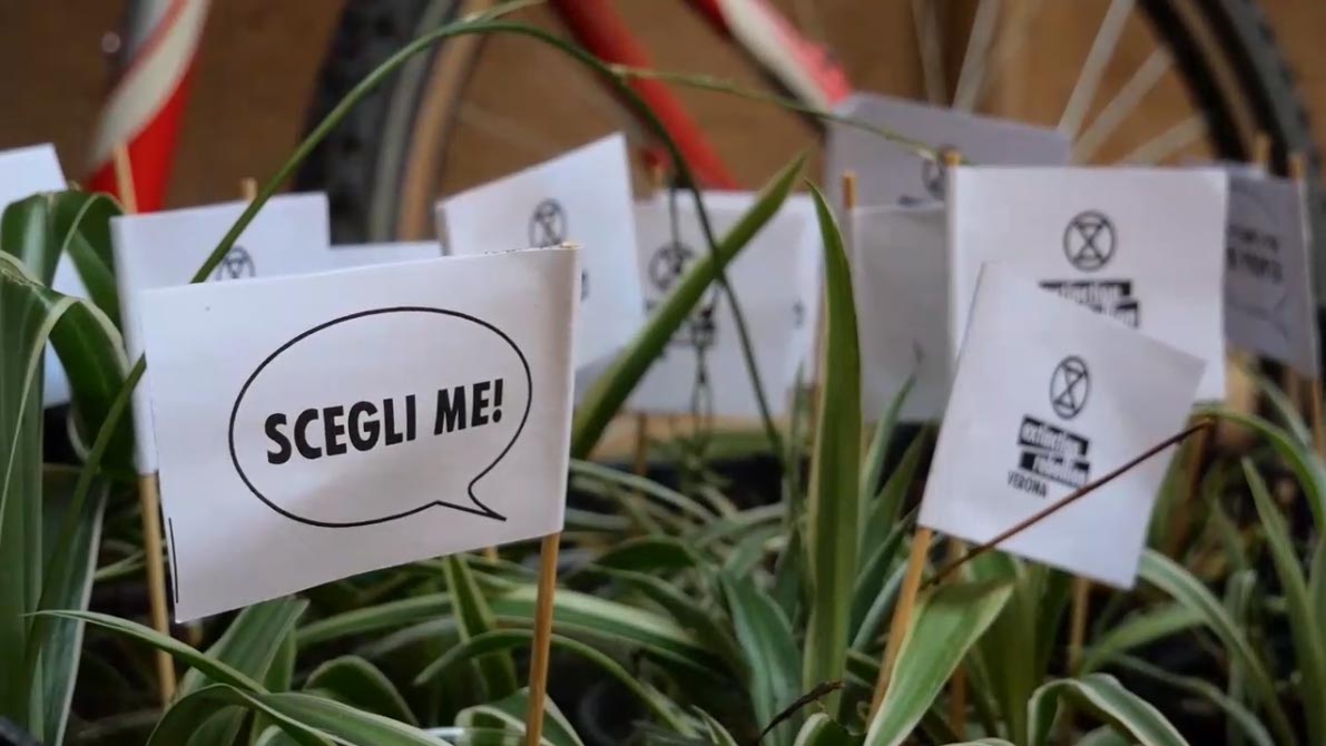 Operazione Falangio - Extinction Rebellion - Piazza Bra Verona