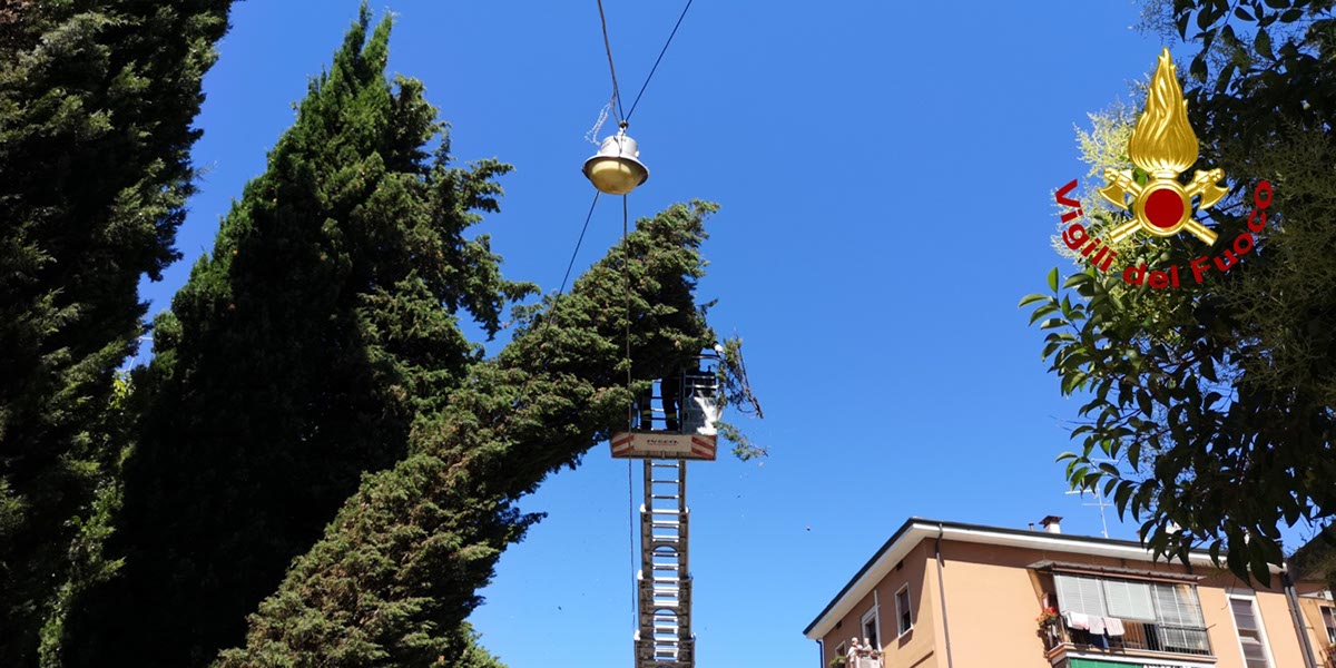 maltempo alberi danneggiati vigili del fuoco