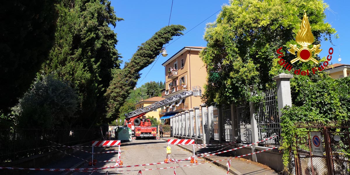 maltempo alberi danneggiati vigili del fuoco