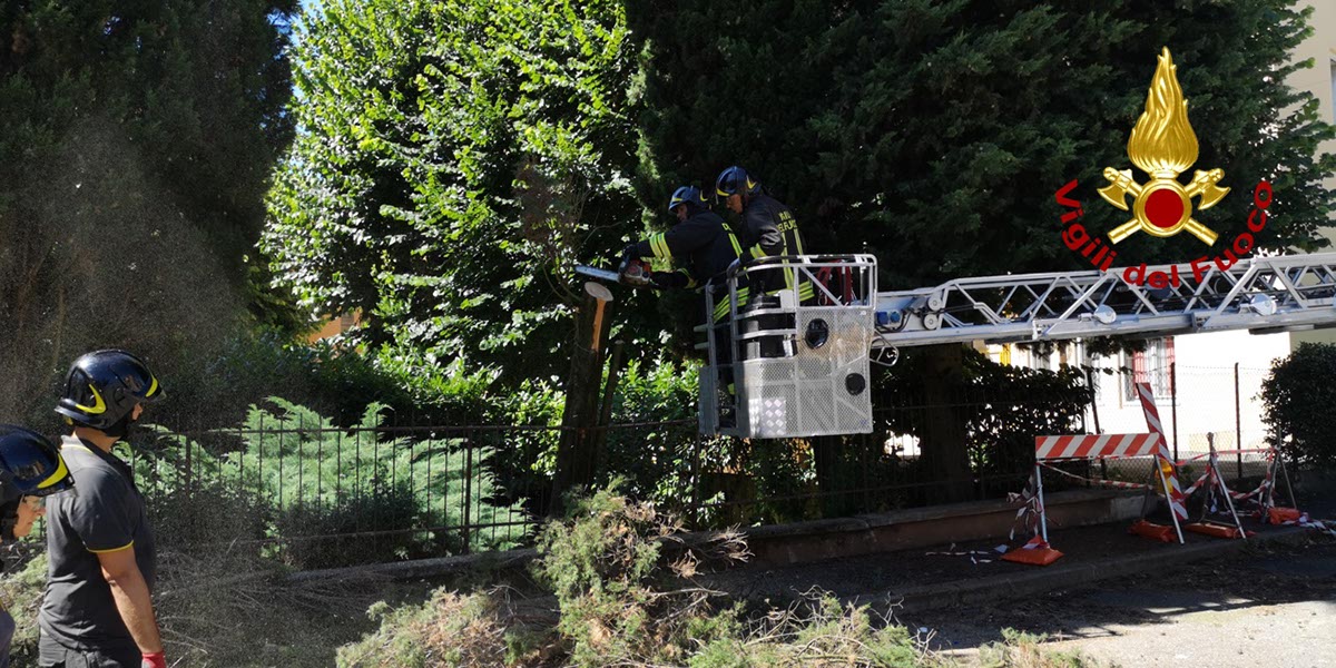 maltempo alberi danneggiati vigili del fuoco