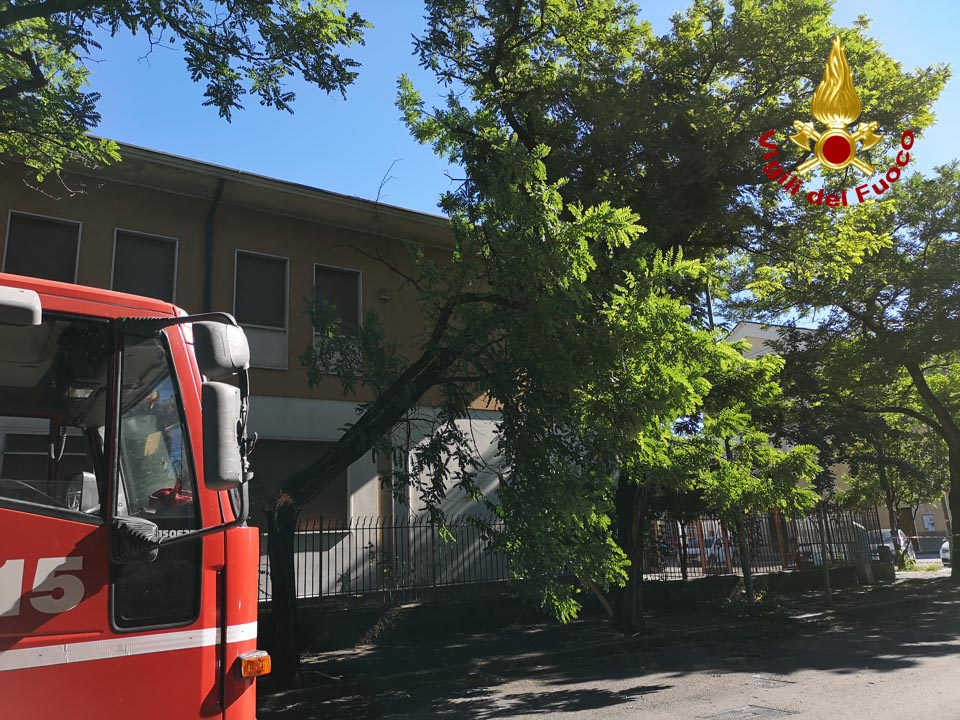 maltempo alberi danneggiati vigili del fuoco