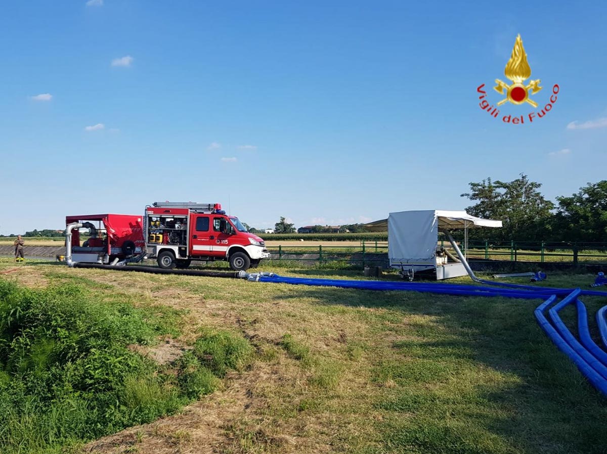 vigili del fuoco pesci albaredo d'adige torrente alpone canale leb