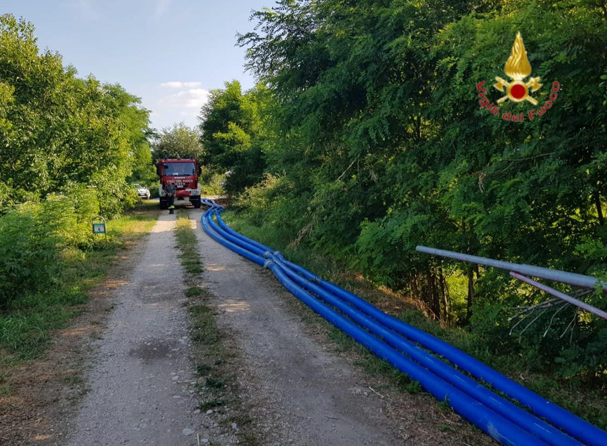 vigili del fuoco pesci albaredo d'adige torrente alpone canale leb