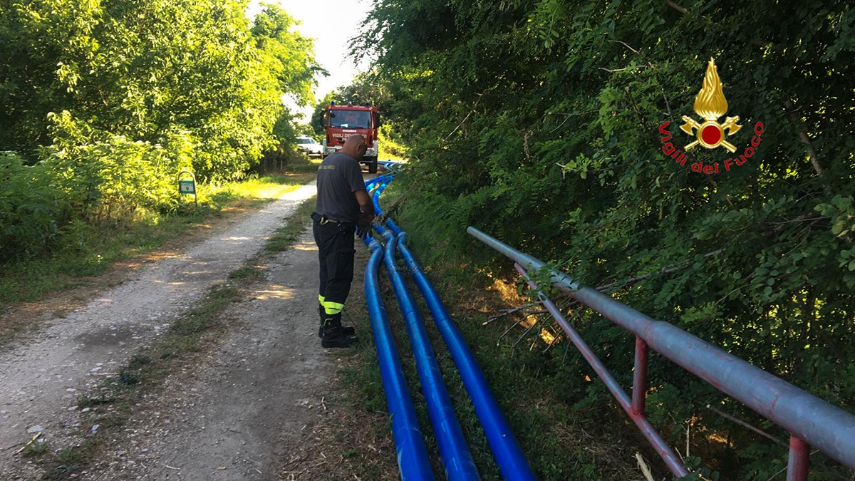 vigili del fuoco pesci albaredo d'adige torrente alpone canale leb