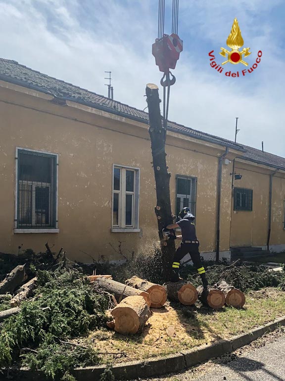 Alberi abbattuti caserma G. Duca - Vigili del fuoco
