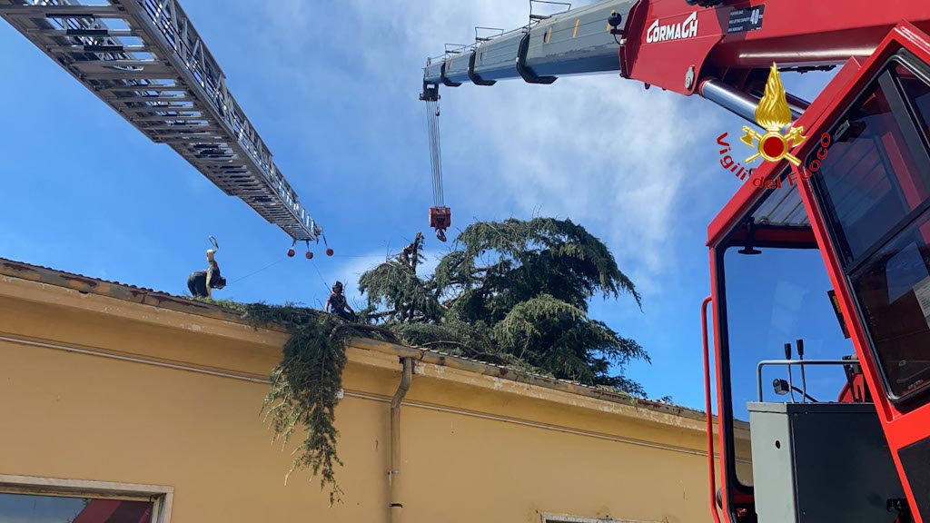 Alberi abbattuti caserma G. Duca - Vigili del fuoco