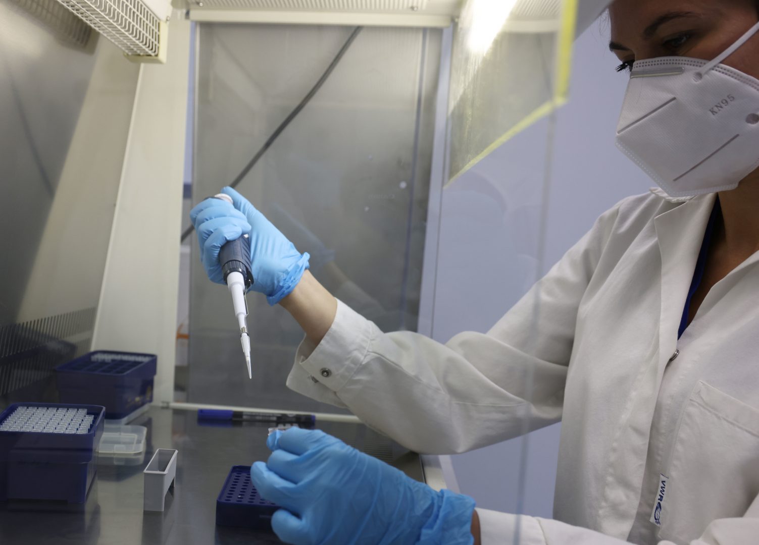 tampone tamponi in provincia di a verona covid