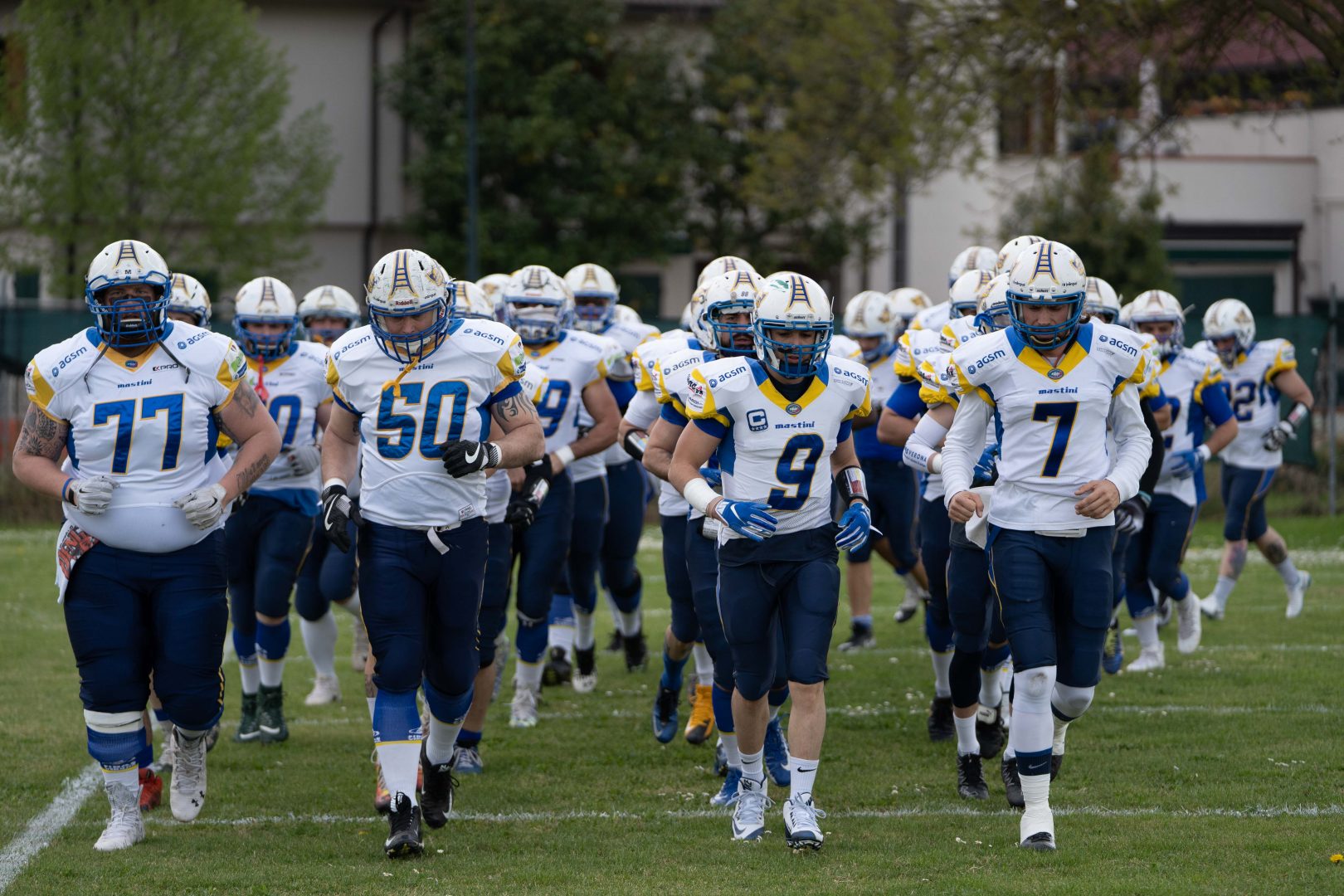 Gli AGSM Mastini di Verona