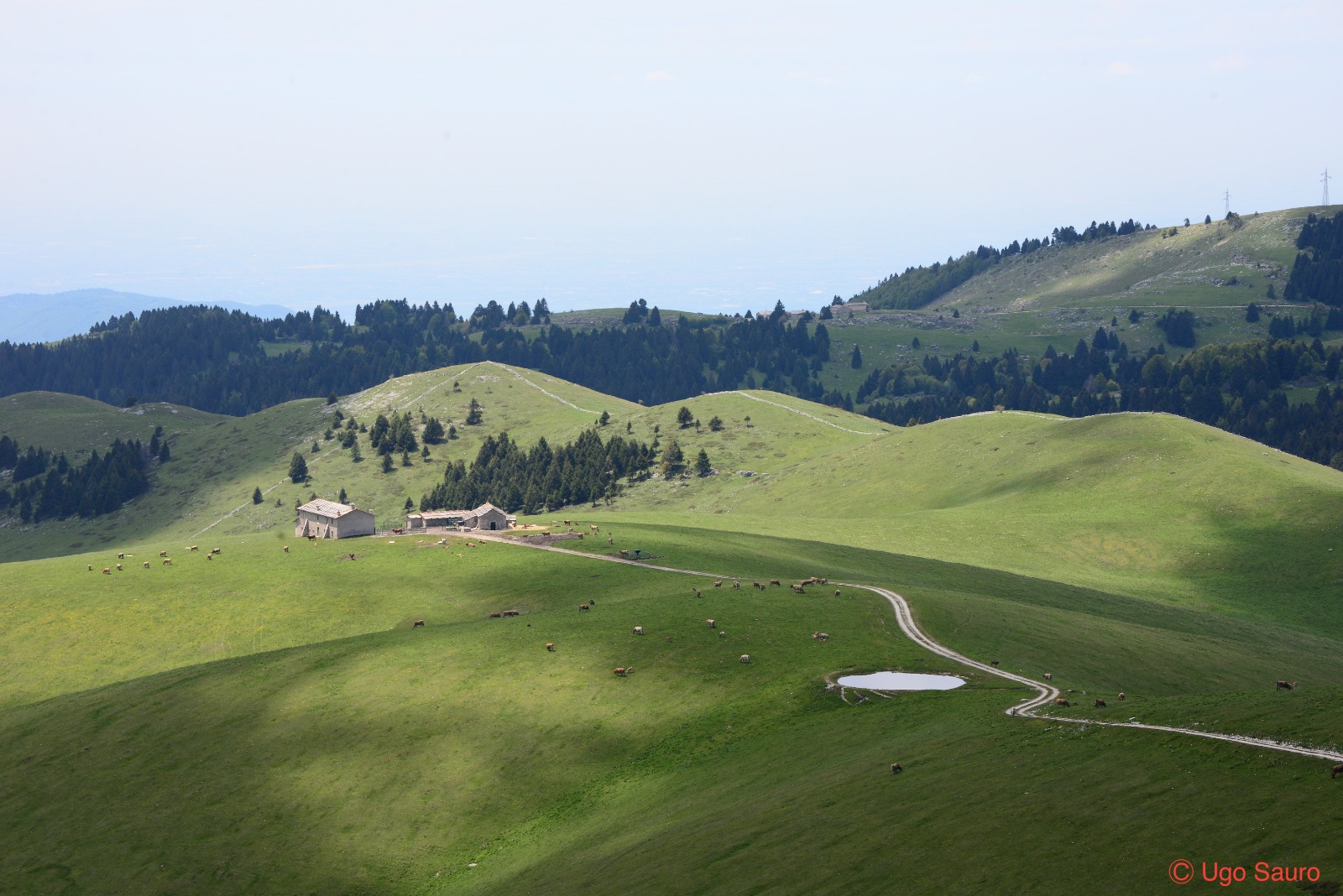 Alti Pascoli della Lessinia