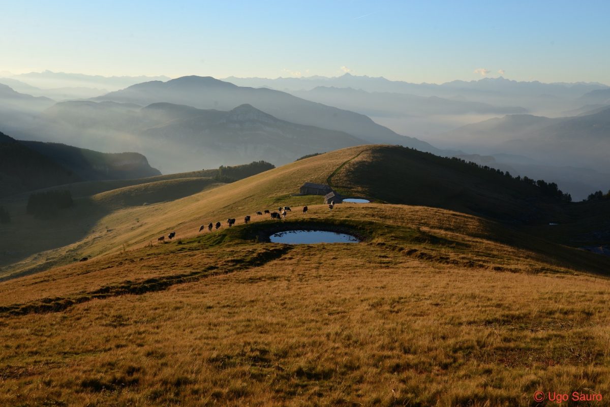 Alti-Pascoli-della-Lessinia-4
