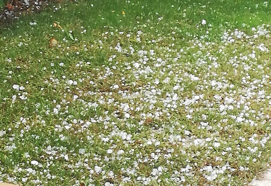 Maltempo grandine grandinata in valpolicella