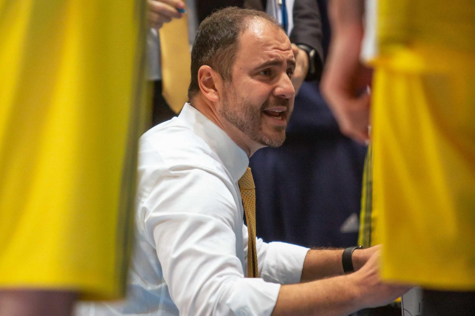 Andrea Diana, allenatore Scaligera Basket Verona