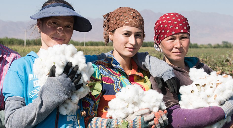 cotone carrera jeans