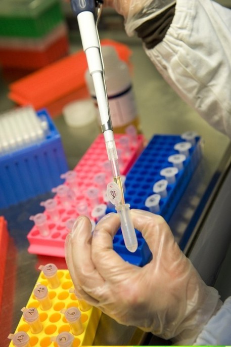 Coronavirus: provette per test Covid 19