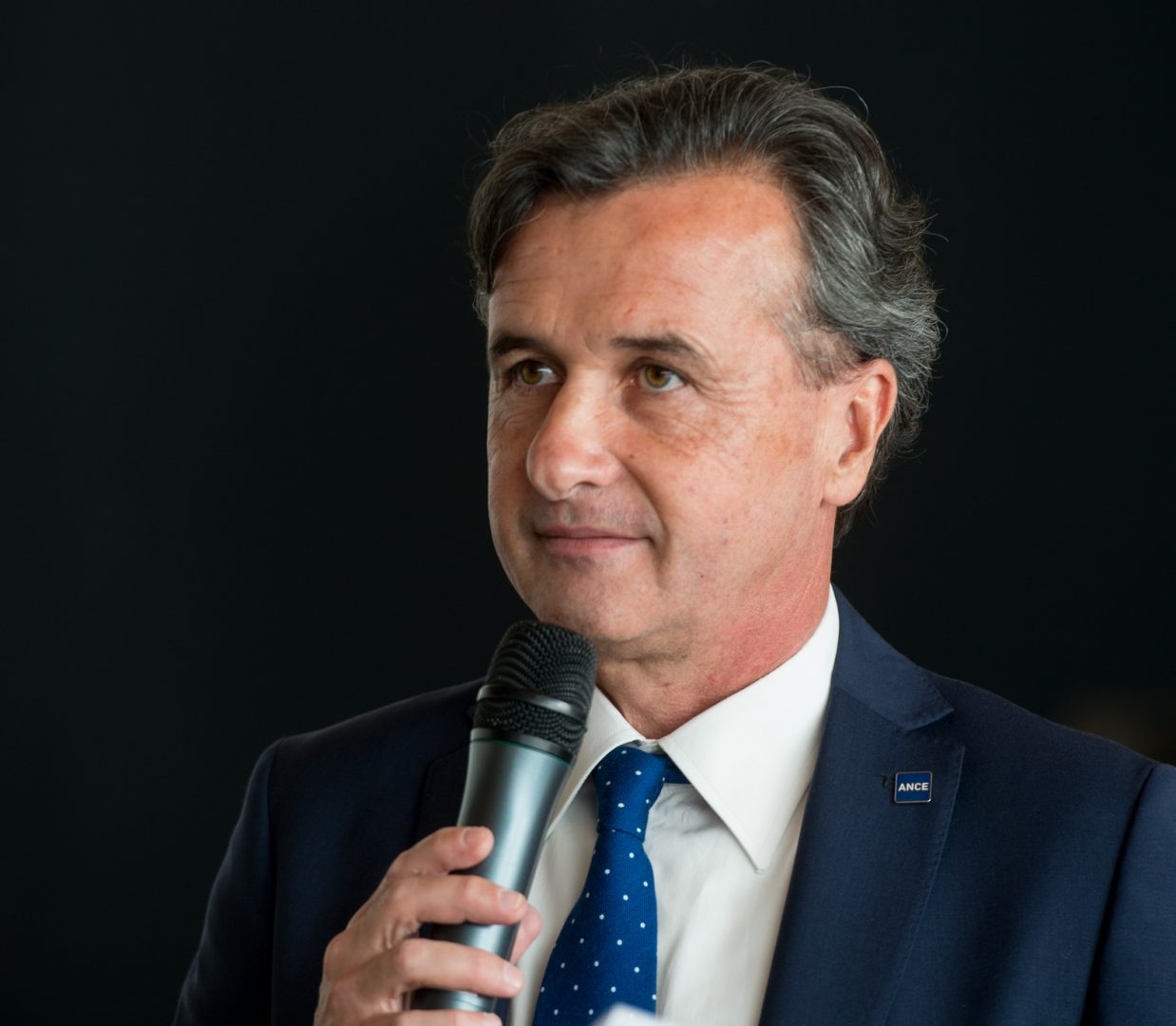 Carlo Trestini, Ance Verona