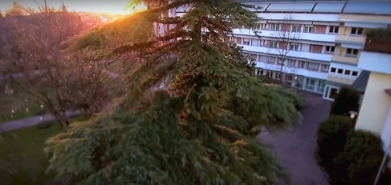 pia-opera-ciccarelli rsa caro energia