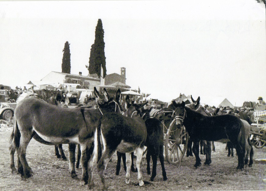 Cavalcaselle fiera foto storica