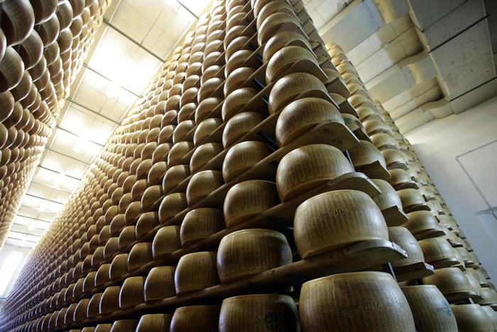 parmigiano reggiano parmareggio grana padano agriform-parmigiano
