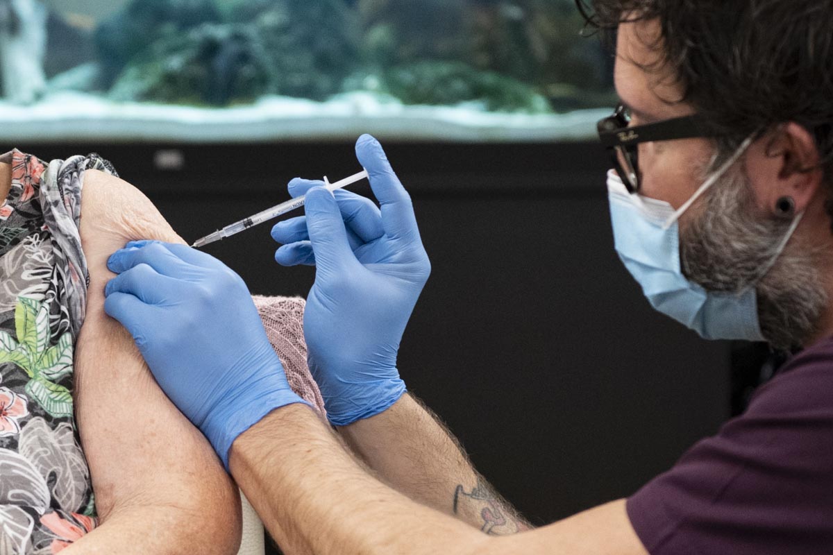 Vaccino vaccinazione in veneto vaccini a verona