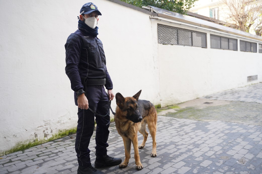 axel cane poliziotto antidroga