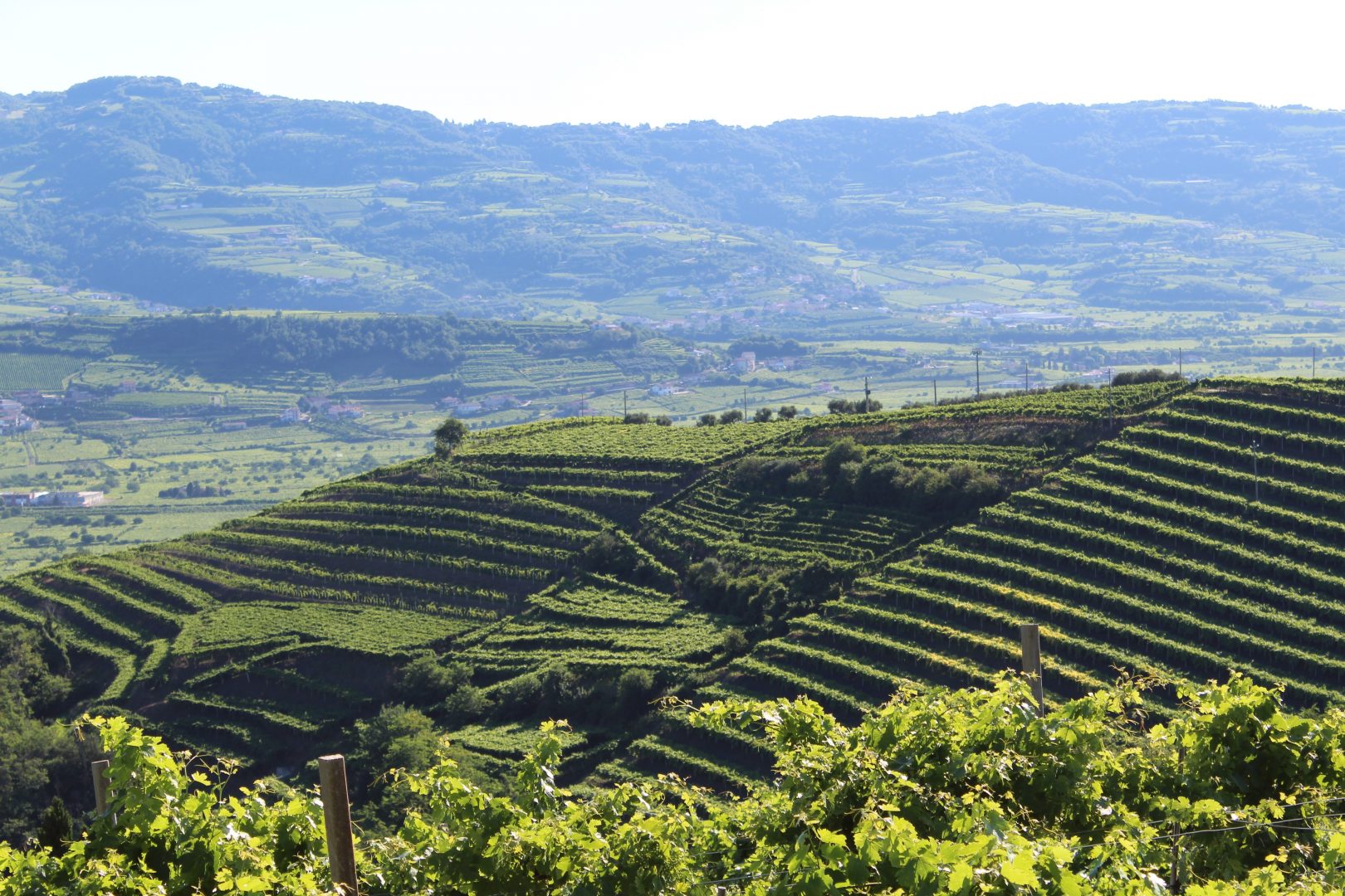 soave borgo dei borghi consorzio