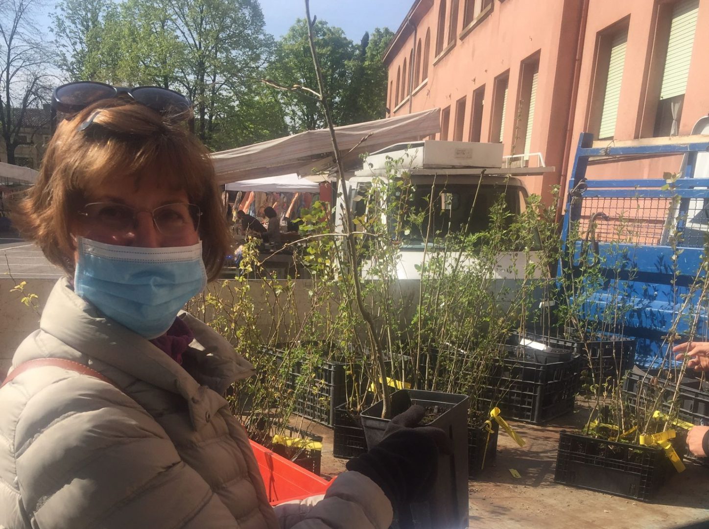 Piantine Sommacampagna