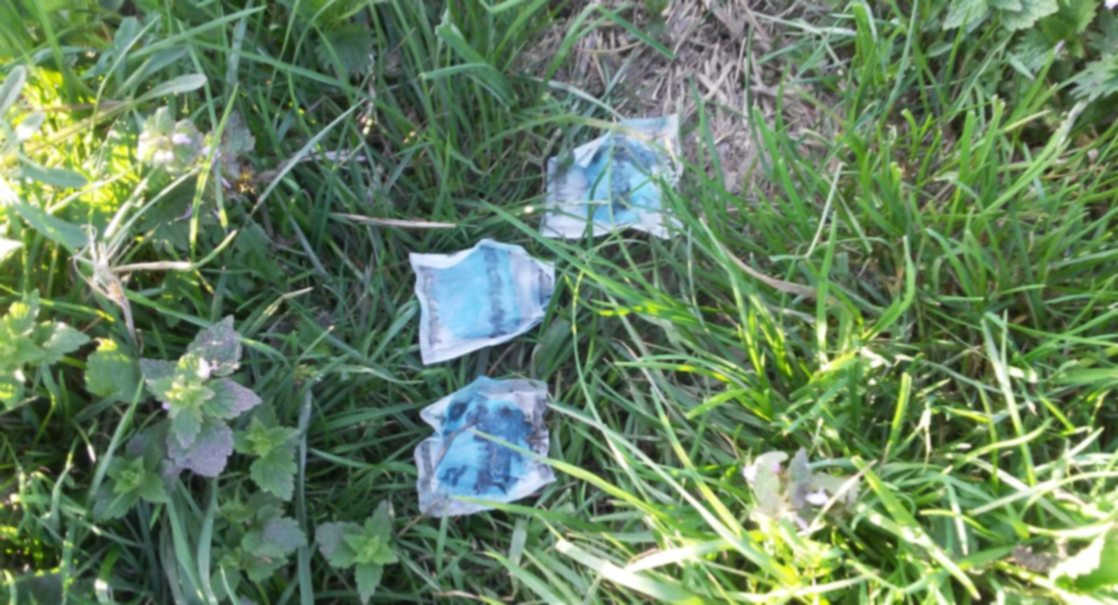 esche topicida a Nogara