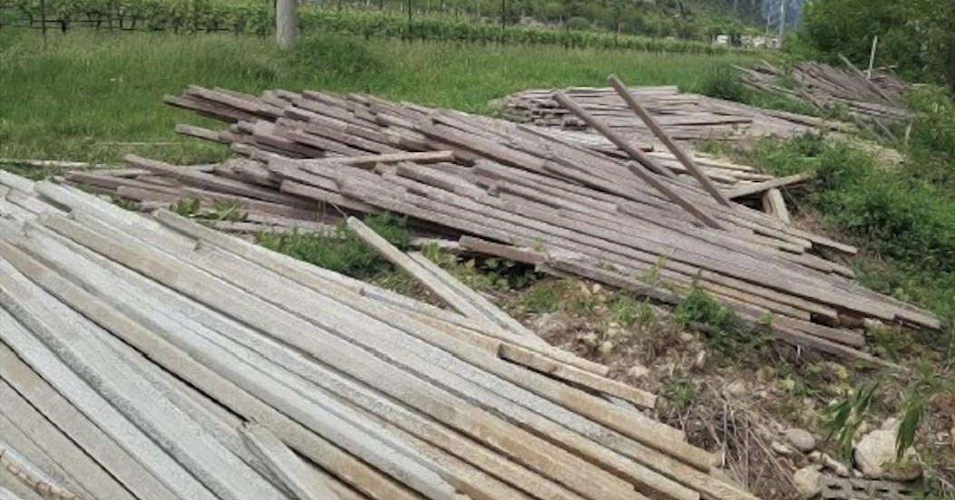 pali abbandonati a Caprino Veronese - Polizia Provinciale