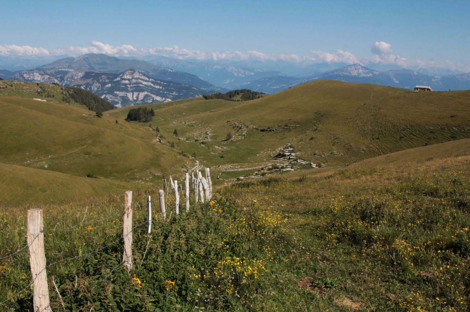 Alti pascoli della lessinia
