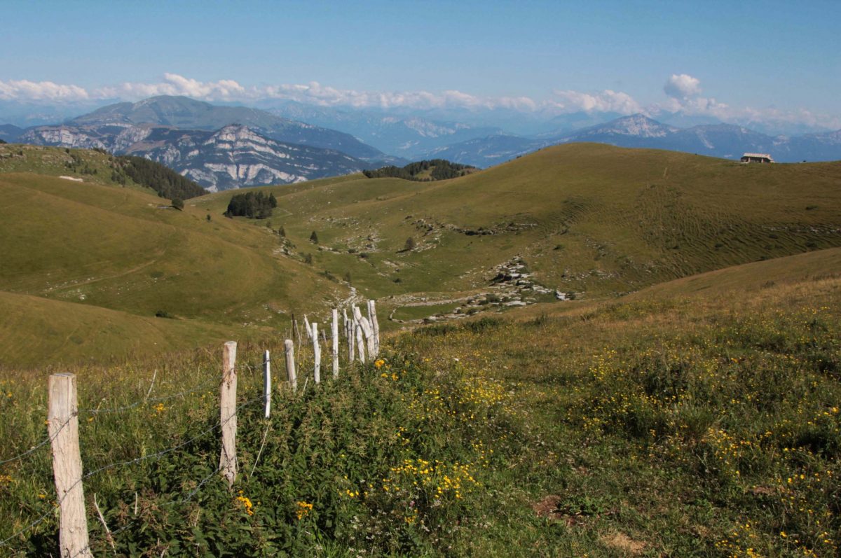 Alti pascoli della lessinia