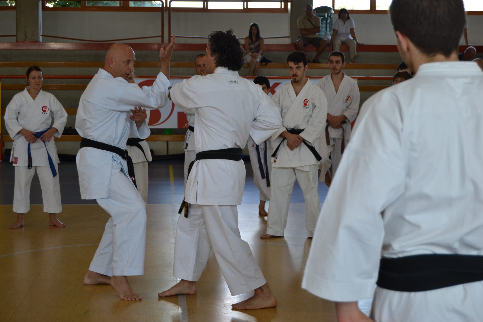 Ventennale del seminario estivo di karate