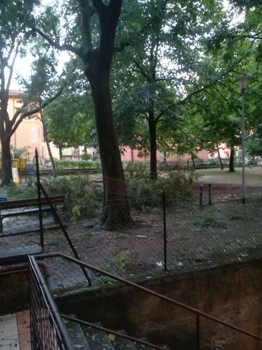 Allagamento in via Roveggia a Verona, foto dal lettore Flavio Benini