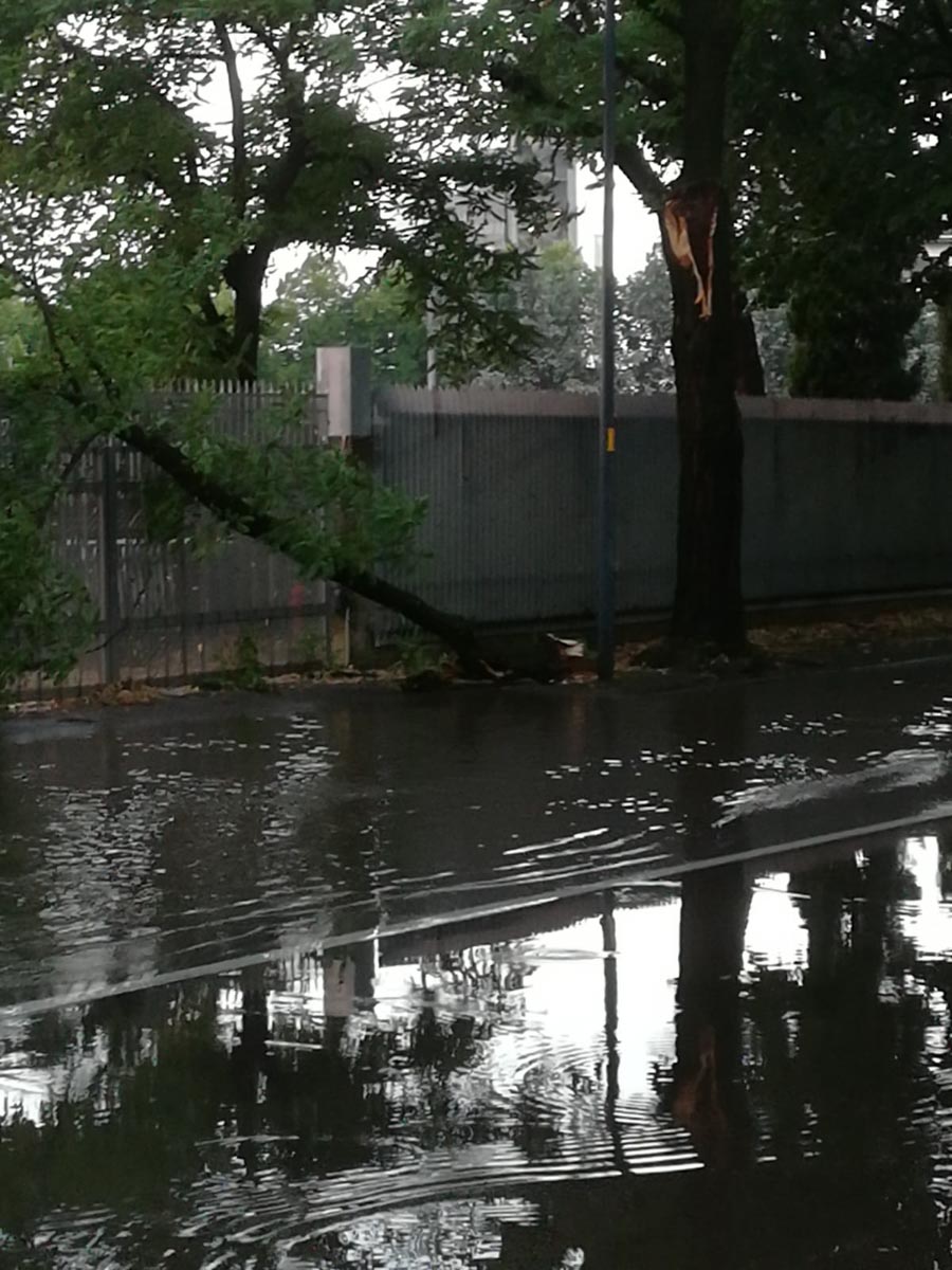 Allagamento in via Roveggia a Verona, foto dal lettore Flavio Benini