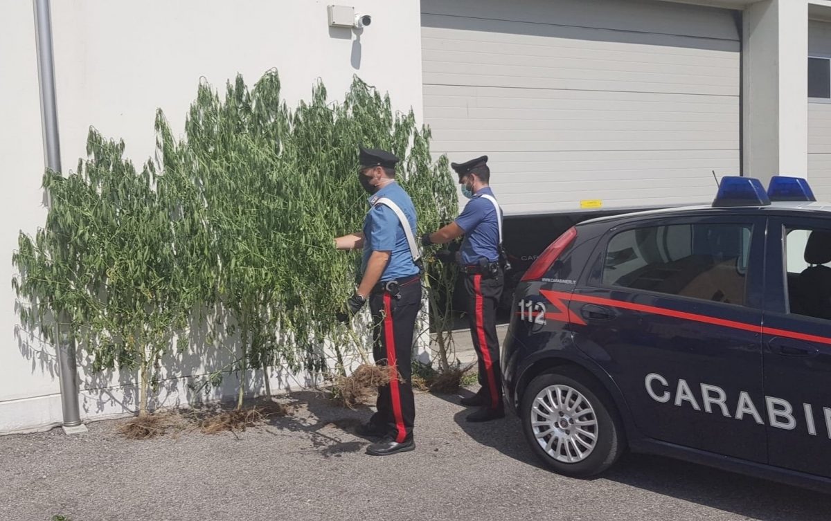 Carabinieri San Giovanni Lupatoto