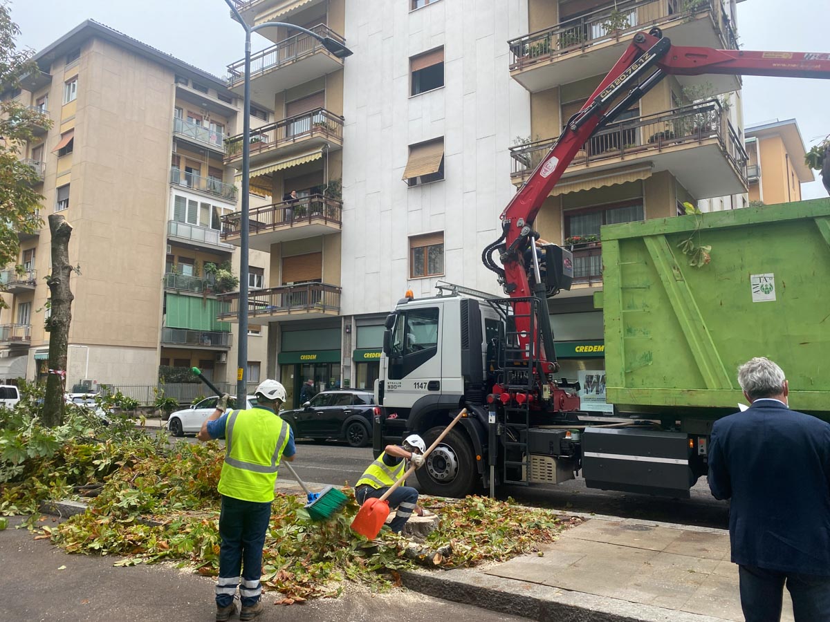 Amia taglio alberi via Todeschini Verona