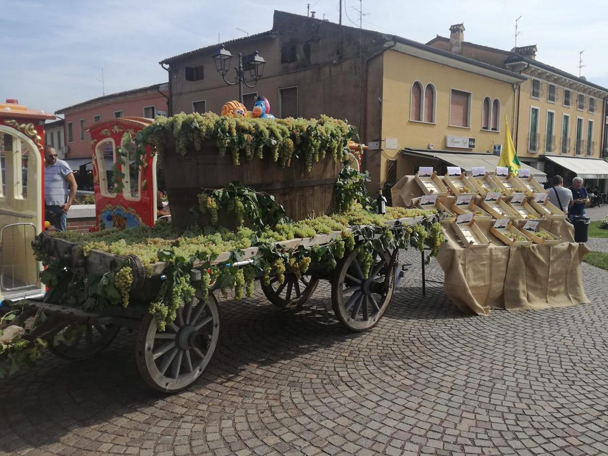 Festa dell'uva di Soave