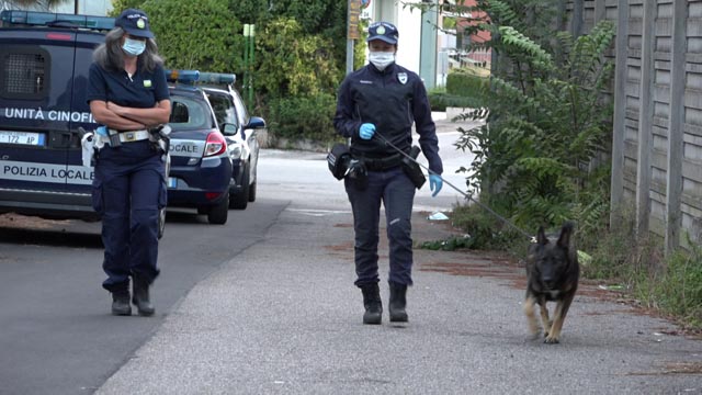 Cani antidroga della Polizia Locale di Verona